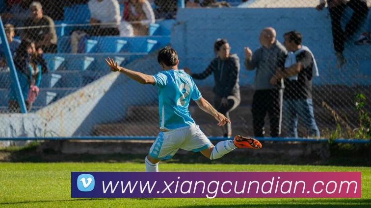 数据分析功能